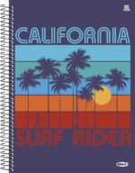 CADERNO UNIV. BOM D+| 10 MATÉRIAS | 160FLS | MASCULINO - ANIMATIVA - Imagem 4