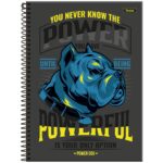 CADERNO POWER DOG CAPA DURA 10 MATERIAS 160FLS - FORONI - Imagem 3