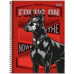 CADERNO POWER DOG CAPA DURA 10 MATERIAS 160FLS - FORONI - Imagem 4